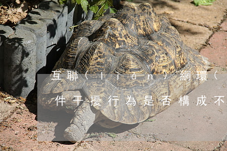 互聯(lián)網環(huán)境下軟件干擾行為是否構成不正當競爭的判斷 ——天貓公司訴載信公司、載和公司不正當競爭糾紛案